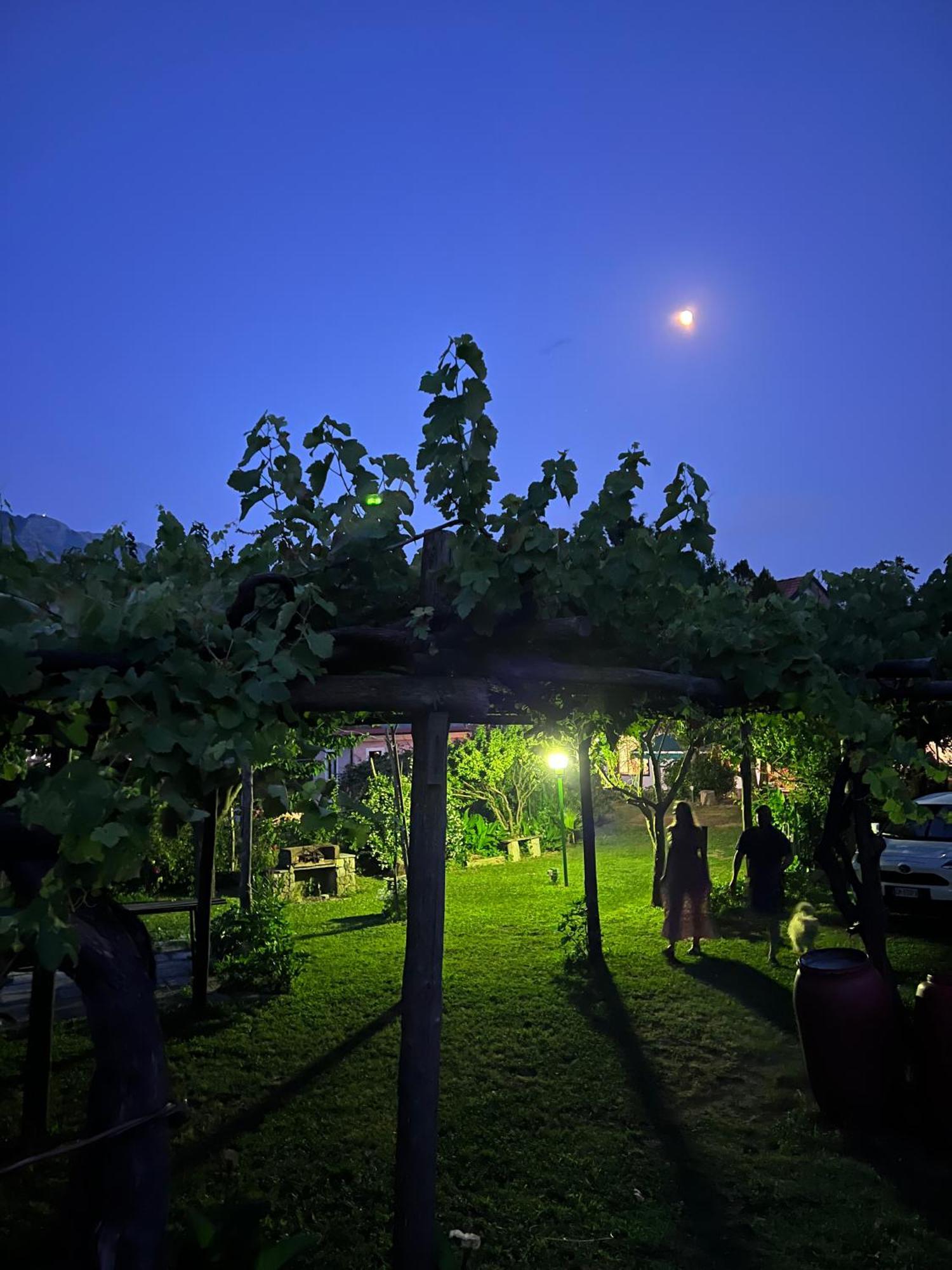 Agriturismo Mare e Monti Tramonti Exterior foto