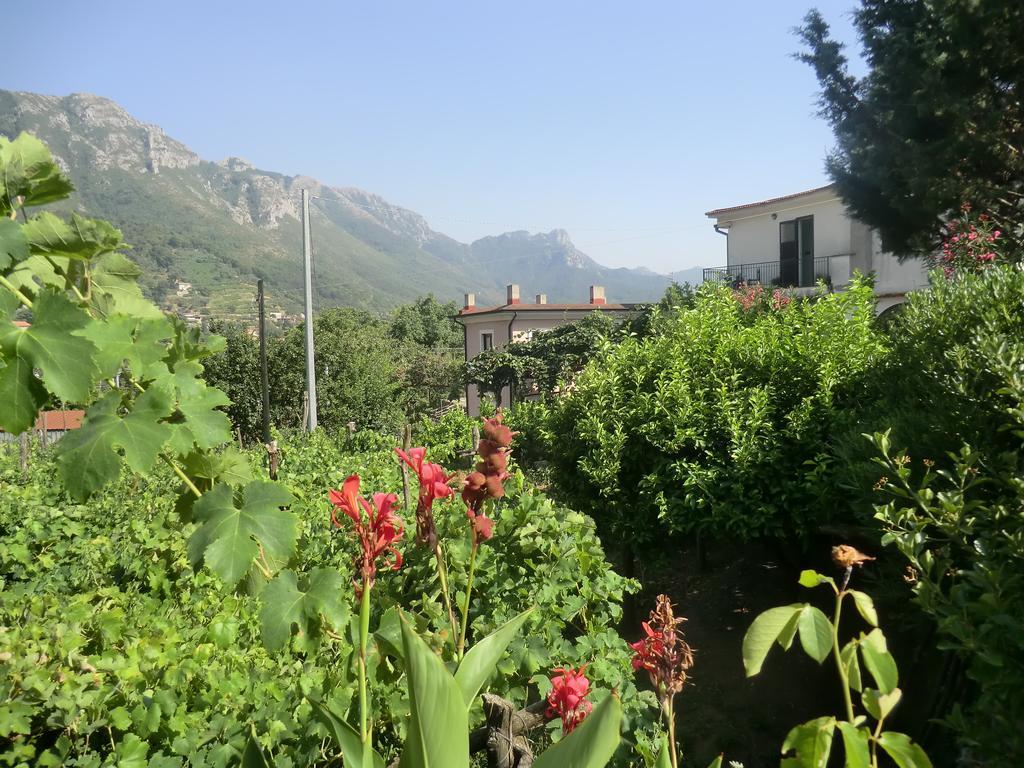 Agriturismo Mare e Monti Tramonti Exterior foto