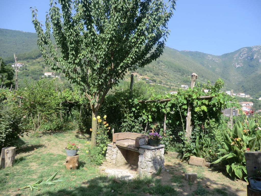 Agriturismo Mare e Monti Tramonti Exterior foto