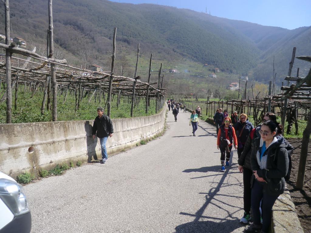Agriturismo Mare e Monti Tramonti Exterior foto