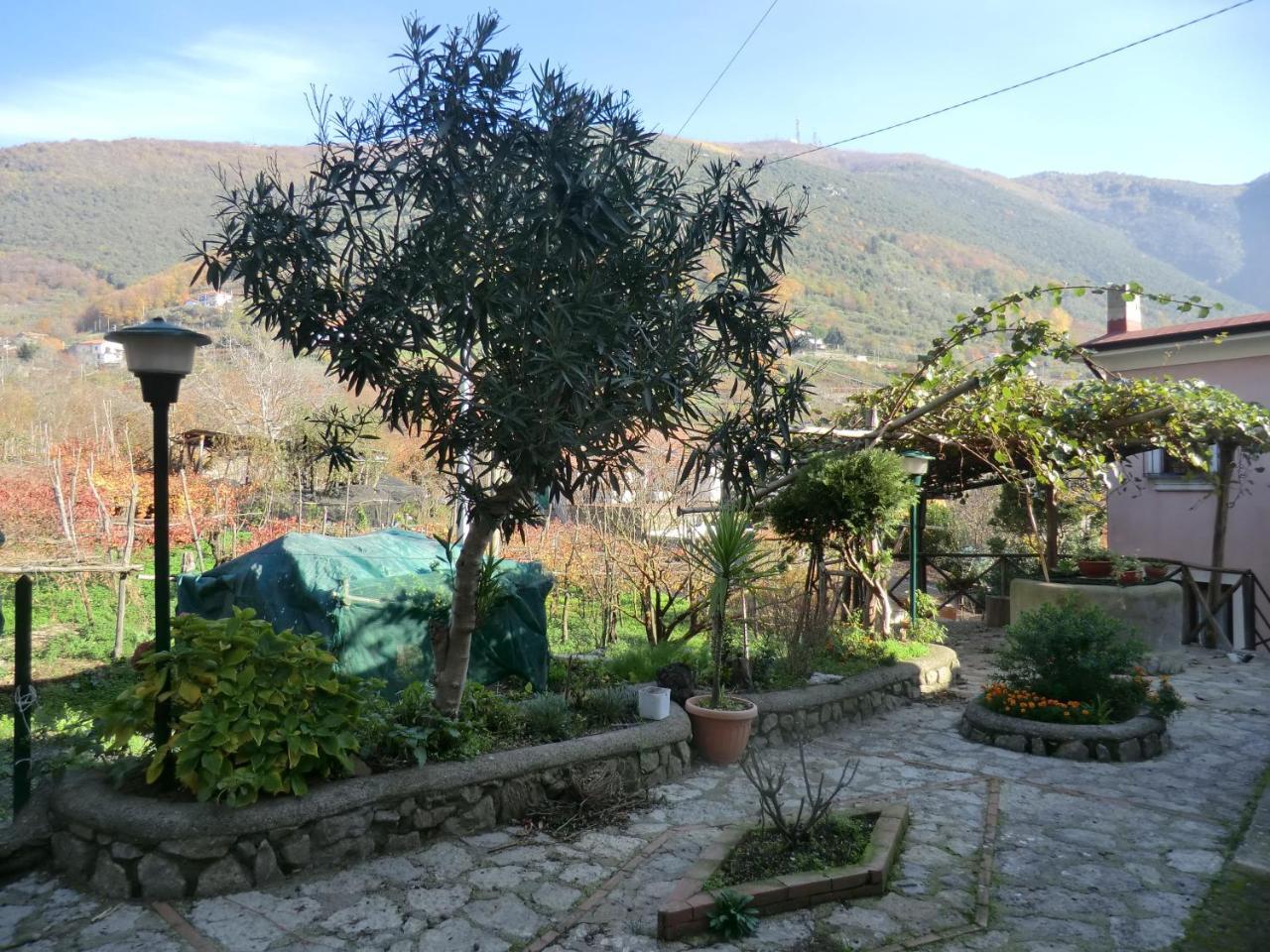 Agriturismo Mare e Monti Tramonti Exterior foto